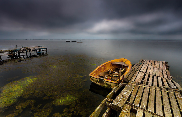 Desolado