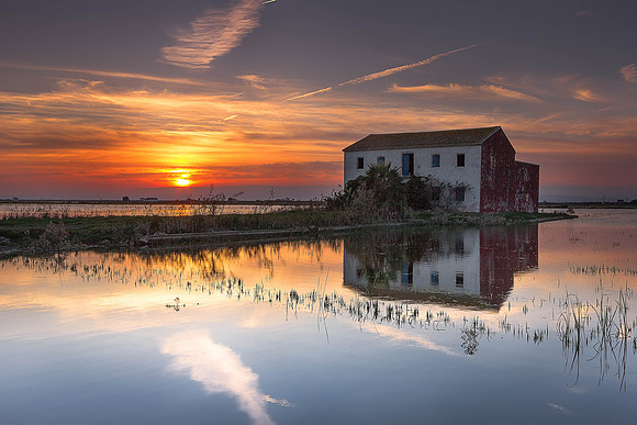 La Albufera