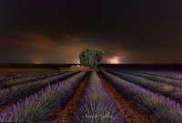 Lavanda & Rayos