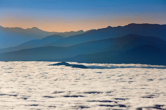 The Blue Mountains
