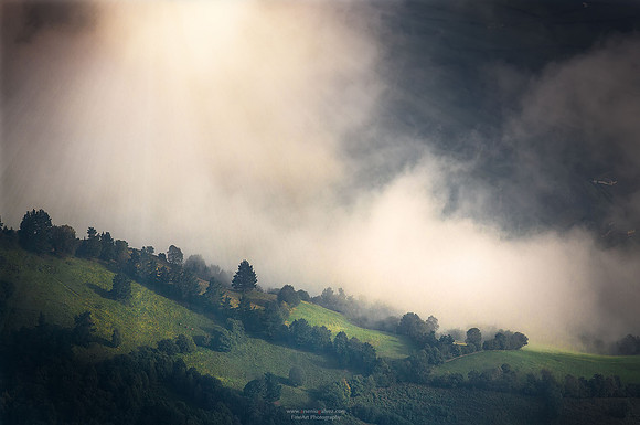 Amanecer en la niebla