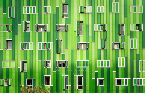Urban Green