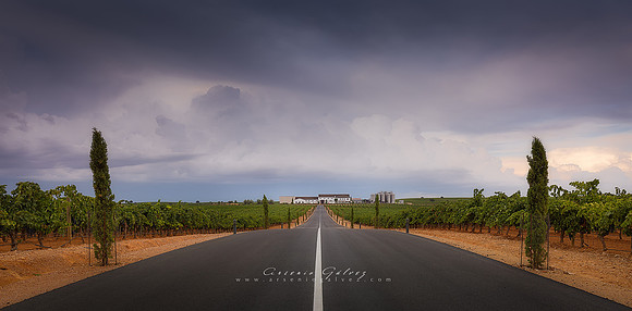 Bodegas VQ